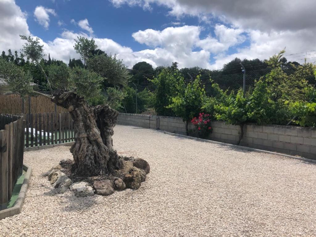 Casa De Campo Patricia Priego de Córdoba Εξωτερικό φωτογραφία