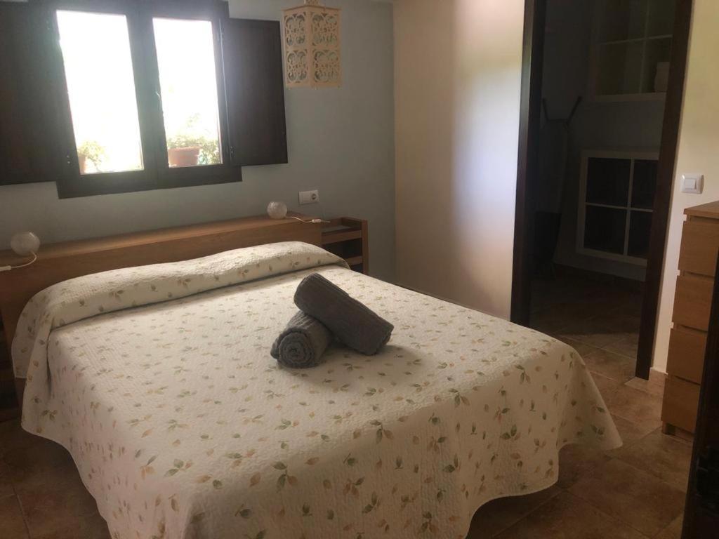 Casa De Campo Patricia Priego de Córdoba Εξωτερικό φωτογραφία